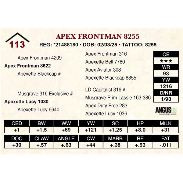 Apex Frontman 8255