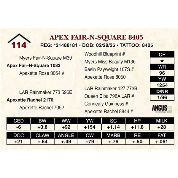 Apex Fair-N-Square 8405