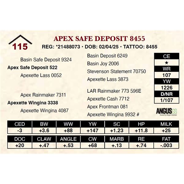 Apex Safe Deposit 8455