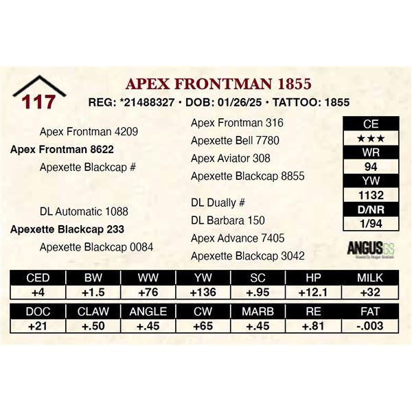 Apex Frontman 1855