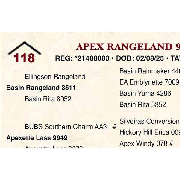 Apex Rangeland 9655