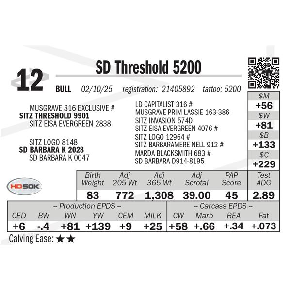 SD Threshold 5200