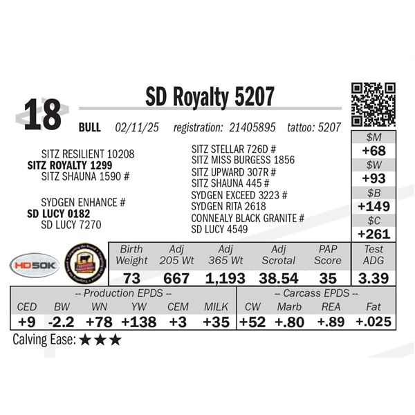 SD Royalty 5207