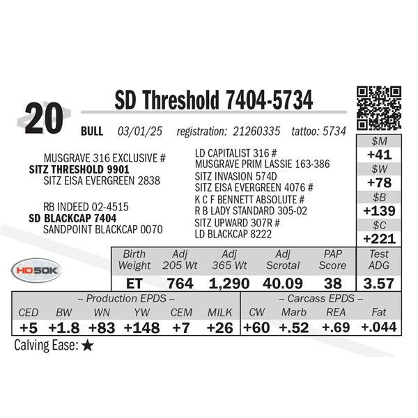 SD Threshold 7404-5734
