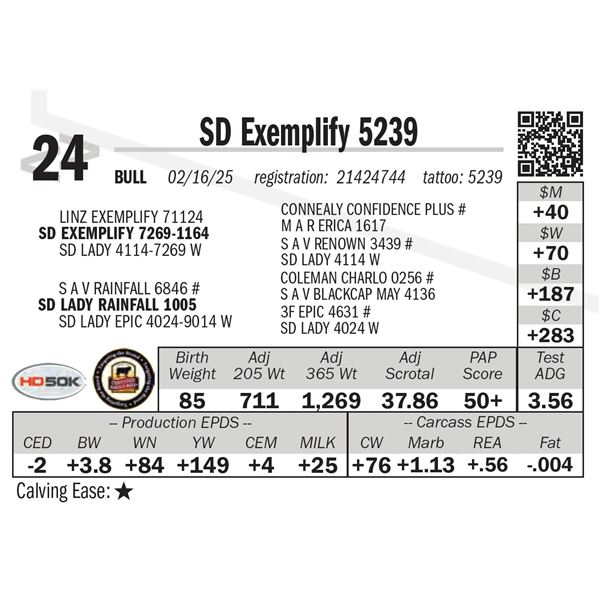SD Exemplify 5239