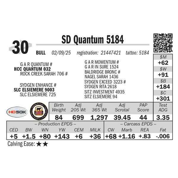 SD Quantum 5184