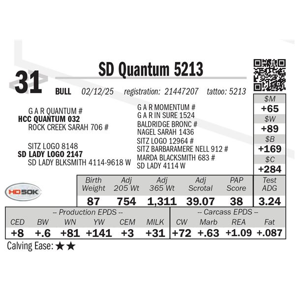 SD Quantum 5213