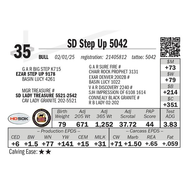 SD Step Up 5042