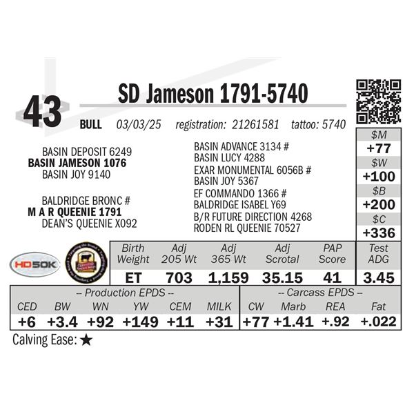 SD Jameson 1791-5740