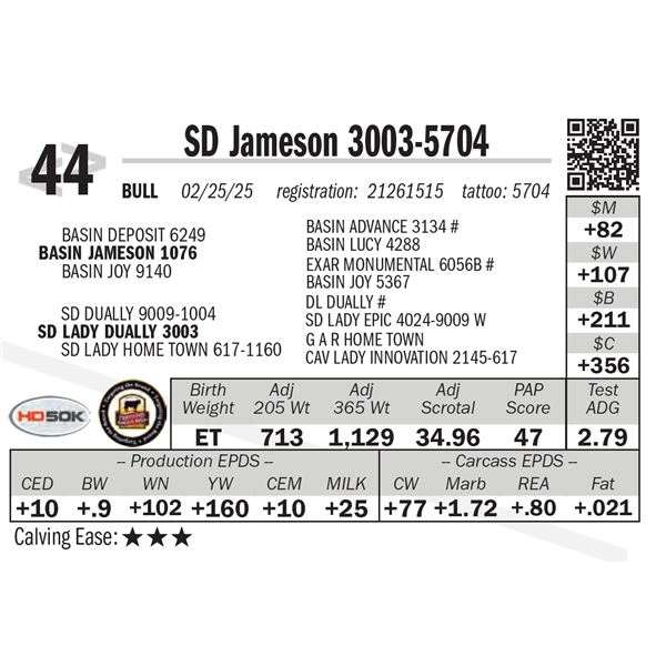SD Jameson 3003-5704