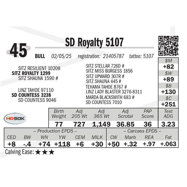 SD Royalty 5107