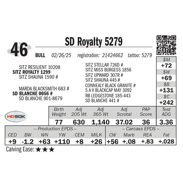 SD Royalty 5279