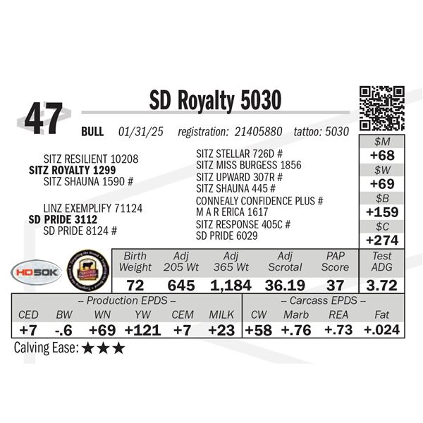 SD Royalty 5030