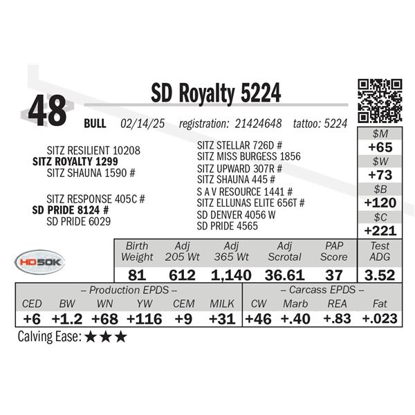 SD Royalty 5224