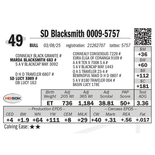 SD Blacksmith 0009-5757