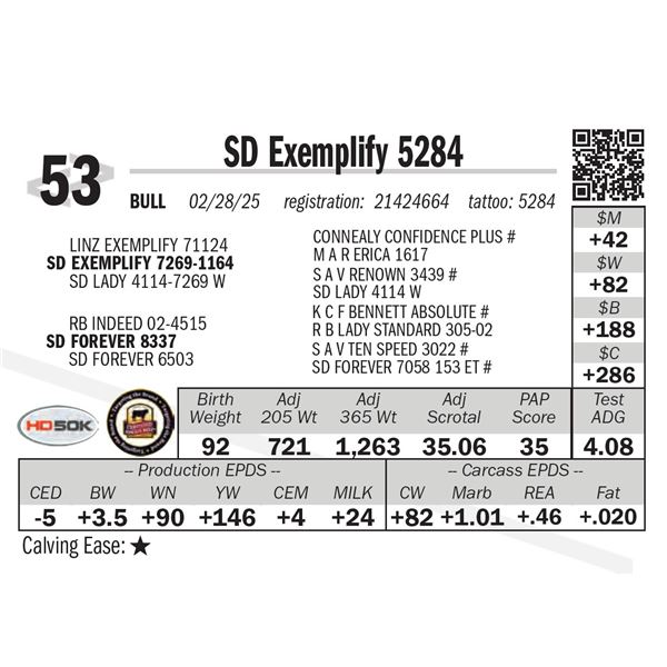 SD Exemplify 5284