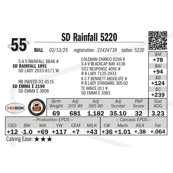 SD Rainfall 5220