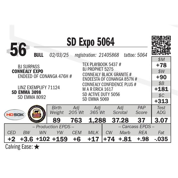 SD Expo 5064