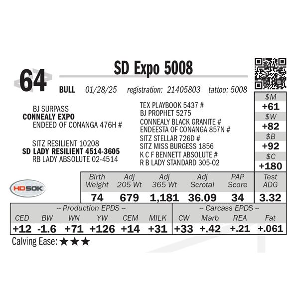 SD Expo 5008