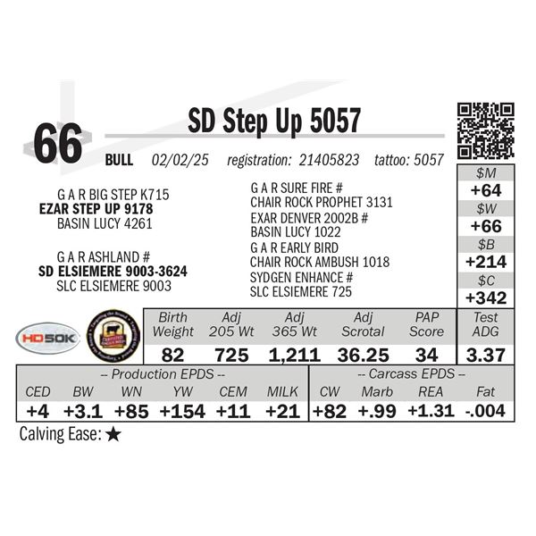 SD Step Up 5057