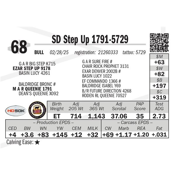 SD Step Up 1791-5729