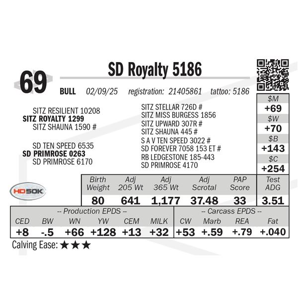 SD Royalty 5186