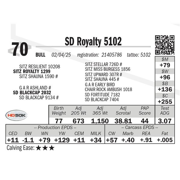 SD Royalty 5102