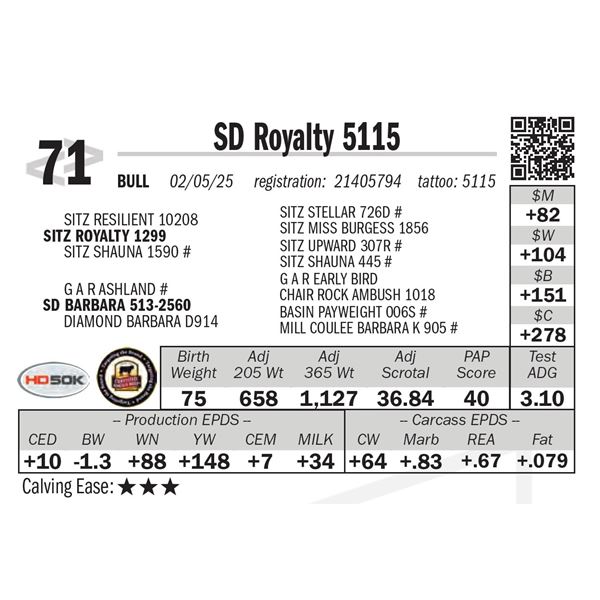 SD Royalty 5115