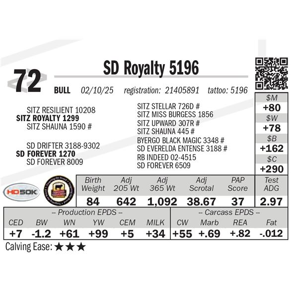 SD Royalty 5196