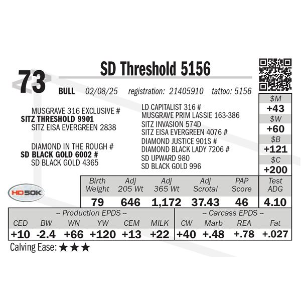 SD Threshold 5156