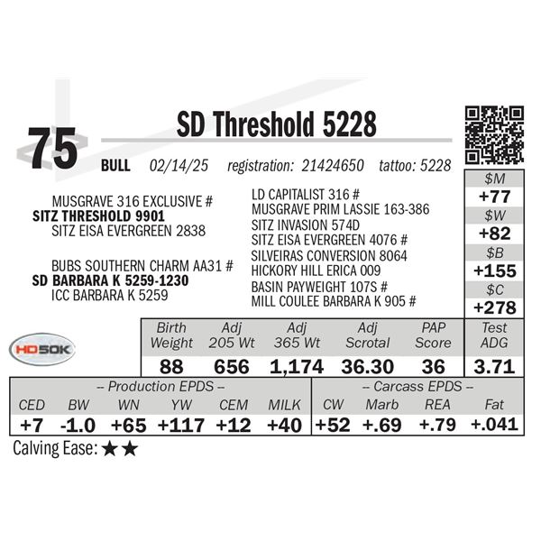 SD Threshold 5228