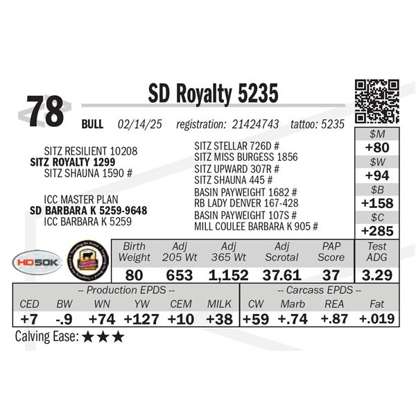 SD Royalty 5235
