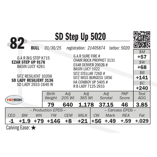 SD Step Up 5020