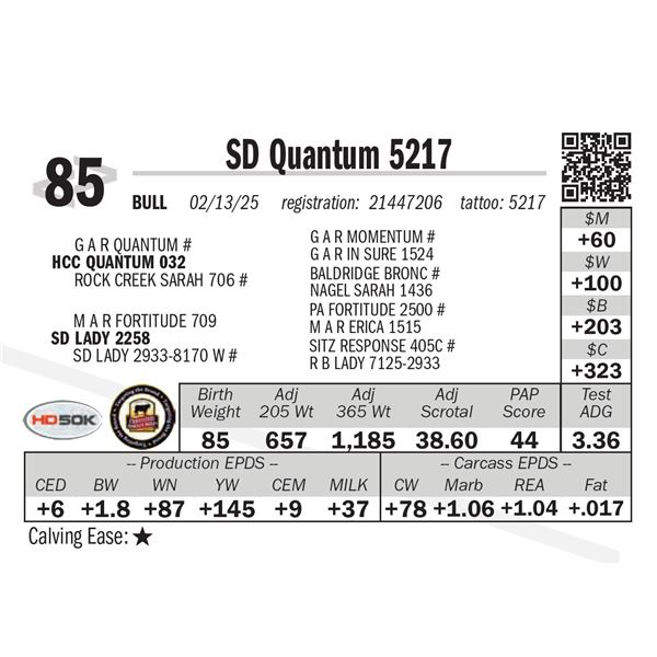 SD Quantum 5217