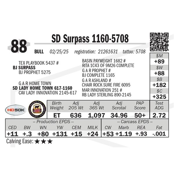 SD Surpass 1160-5708