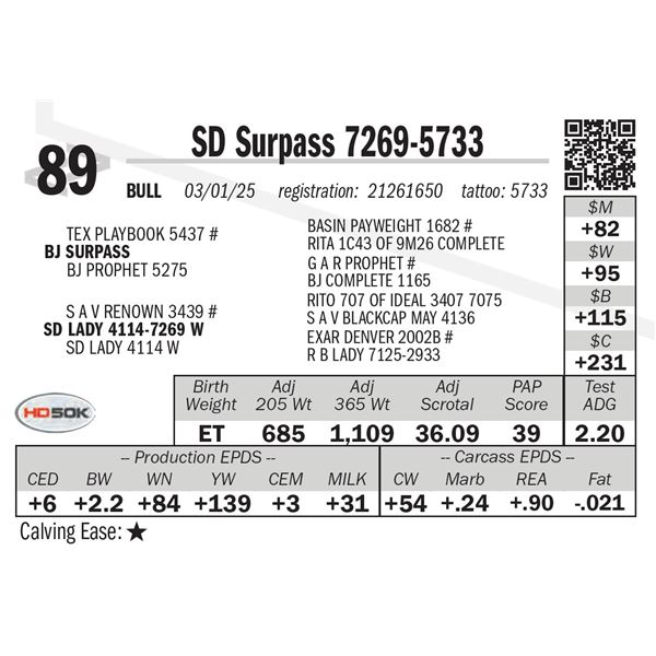 SD Surpass 7269-5733