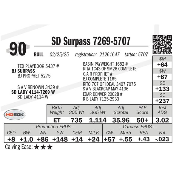 SD Surpass 7269-5707