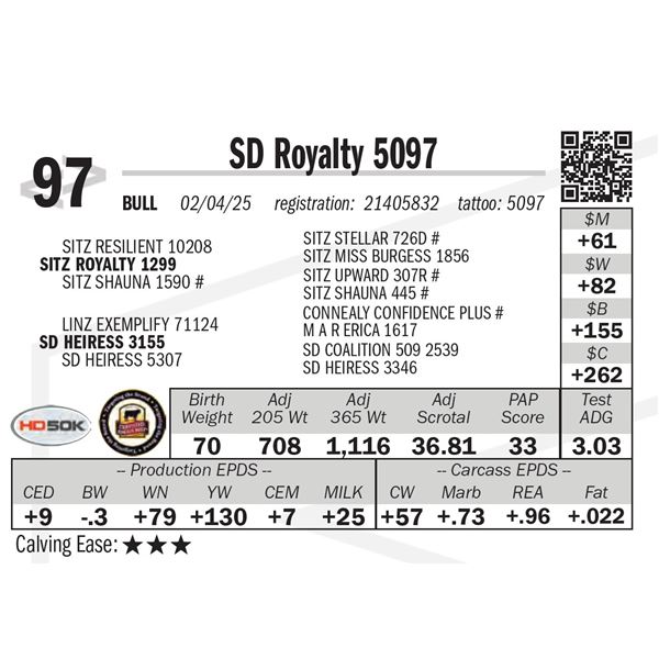 SD Royalty 5097