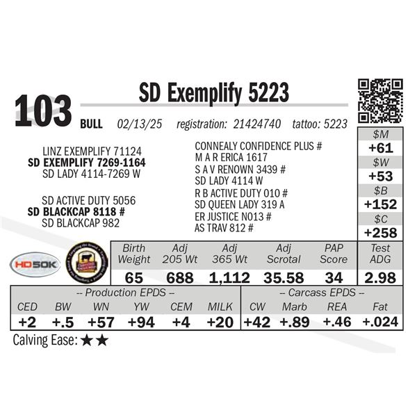 SD Exemplify 5223