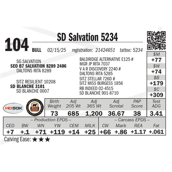 SD Salvation 5234
