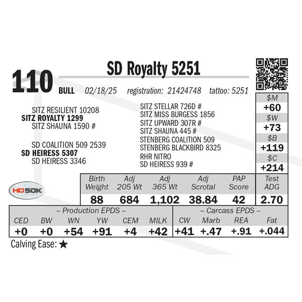 SD Royalty 5251