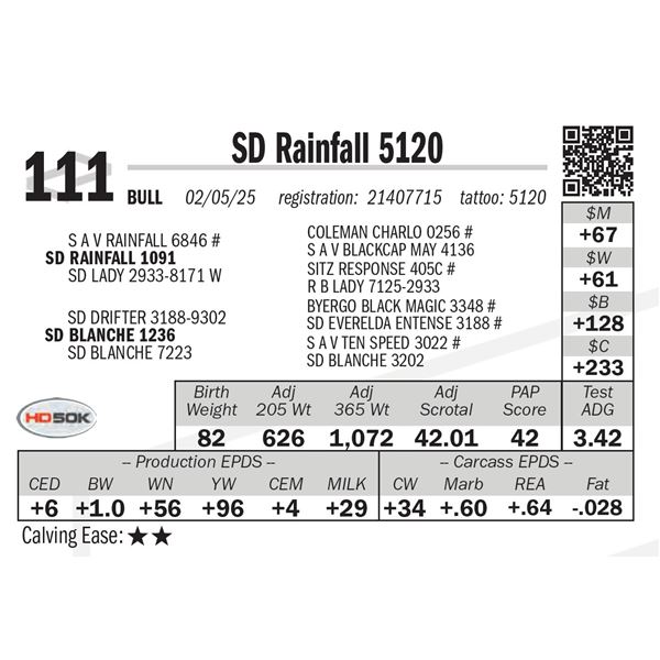 SD Rainfall 5120