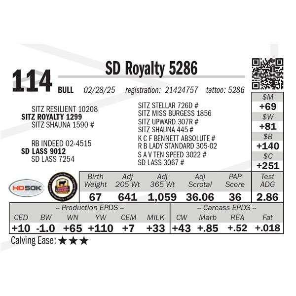 SD Royalty 5286