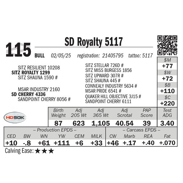 SD Royalty 5117