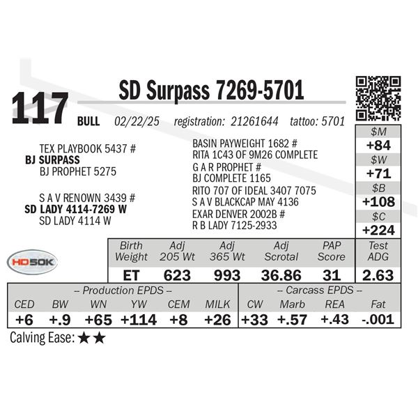 SD Surpass 7269-5701