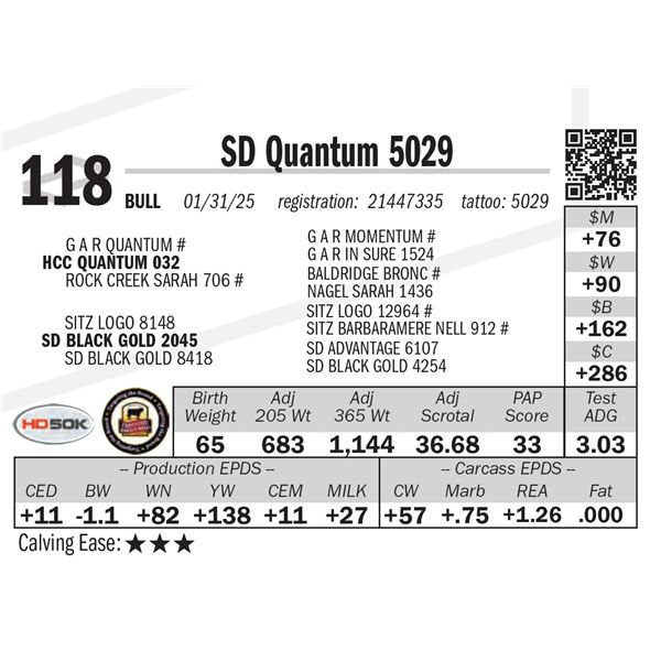 SD Quantum 5029