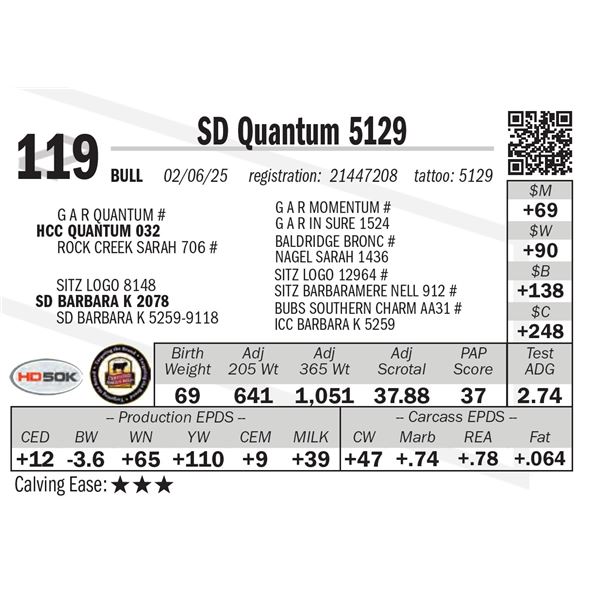 SD Quantum 5129