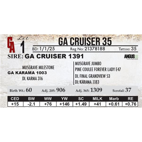 GA Cruiser 35