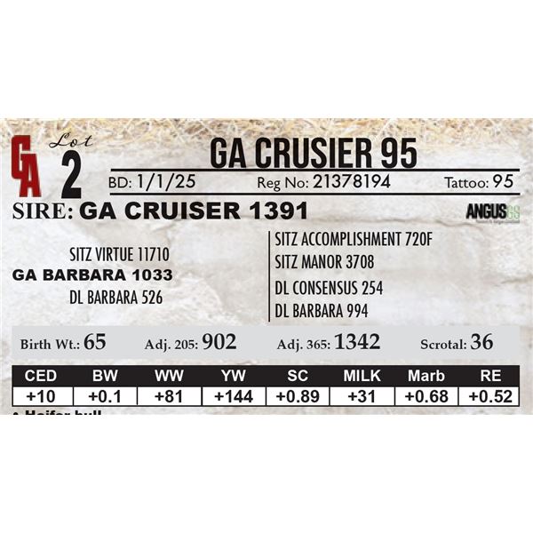 GA Crusier 95