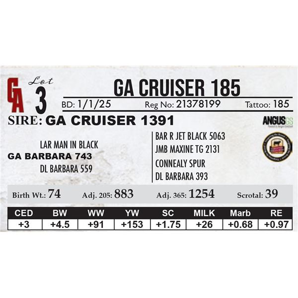 GA Cruiser 185